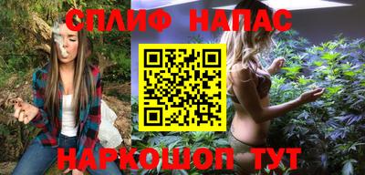 ешки Будённовск