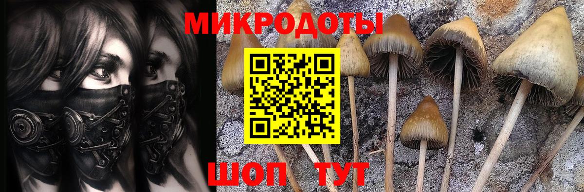 Галлюциногенные грибы мицелий  Вход с VPN  Нефтекумск  Псилоцибиновые грибы мицелий 