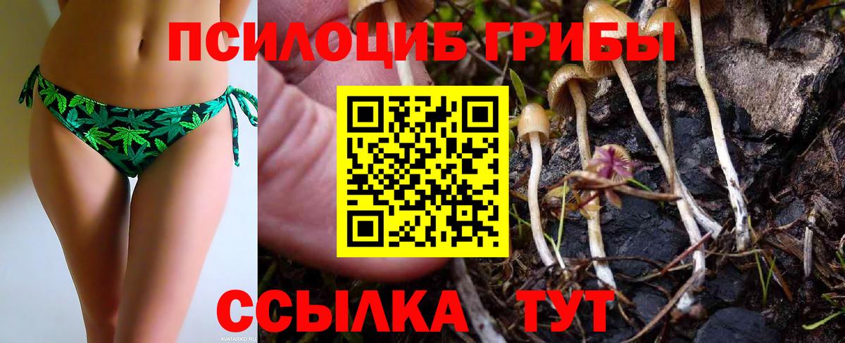 Галлюциногенные грибы Cubensis Нефтекумск
